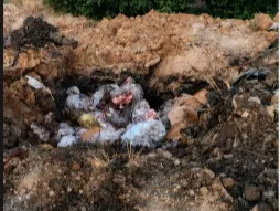 Sucuk imalathanesinde şok manzara: 5,5 ton ete el konuldu