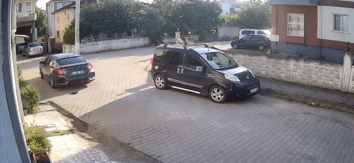 Sokağa bıraktığı kediyi ezdi! Görüntüler tepki çekti