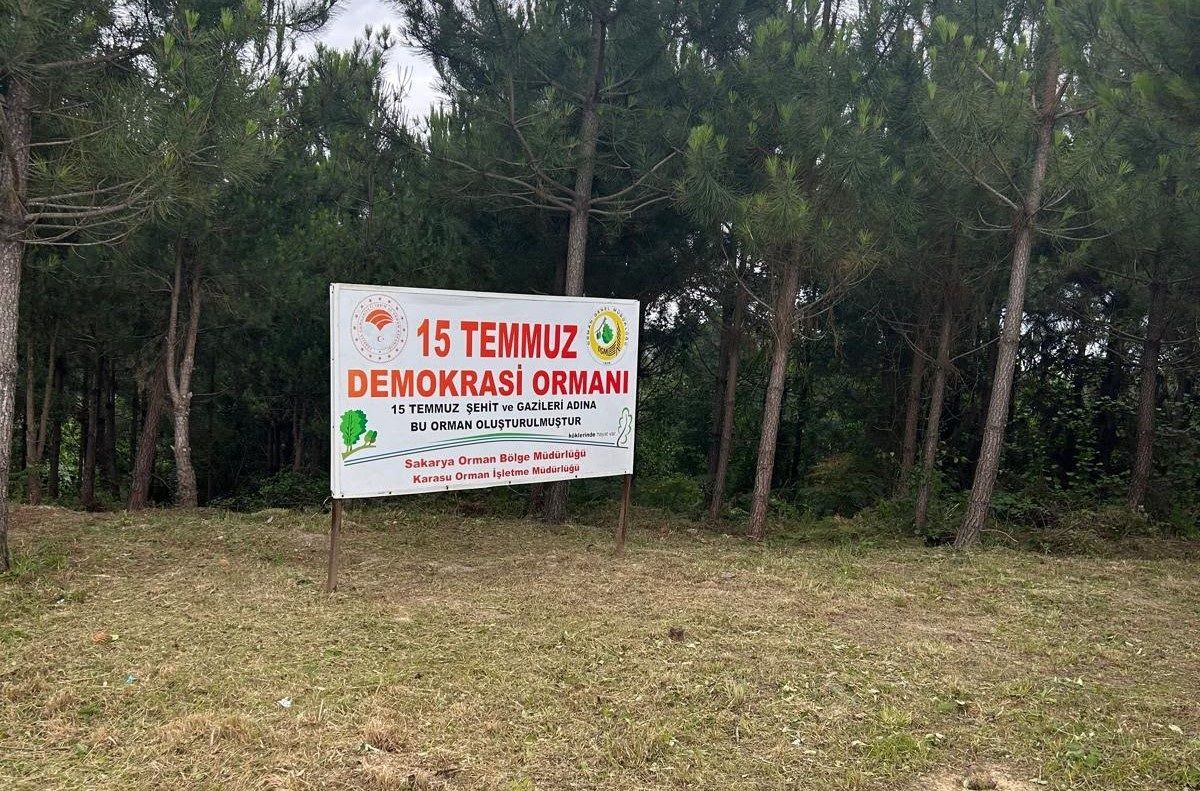 Aziz hatıraya yeşil dokunuş: 15 Temmuz Şehitleri Hatıra Ormanlarında bakım çalışması
