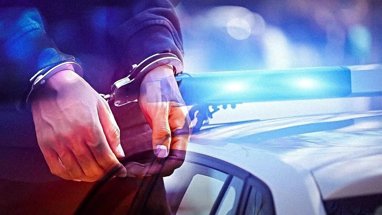 Sakarya dahil 12 ilde organize suç operasyonu: 103 şüpheli adliyeye sevk edildi