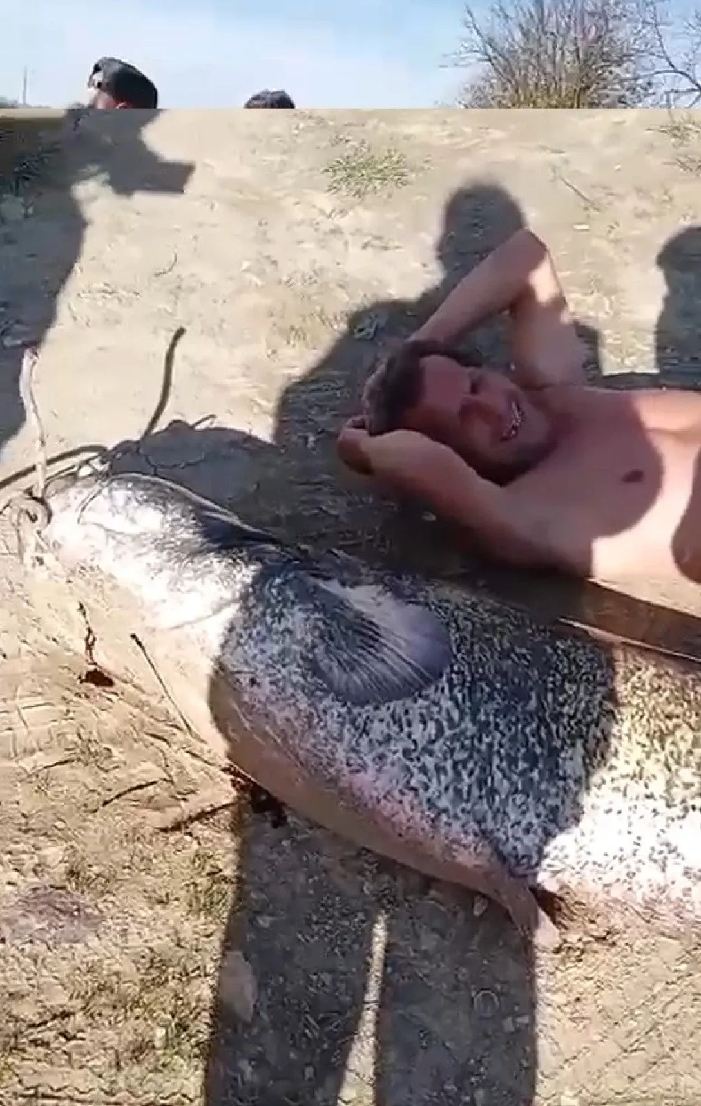 Karasu'da oltaya öyle bir şey takıldı ki... Taşımak için araca bağladılar