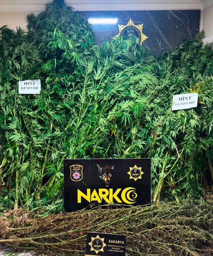 Karasu’da uyuşturucu operasyonu: 10 kilo 100 gram esrar ele geçirildi