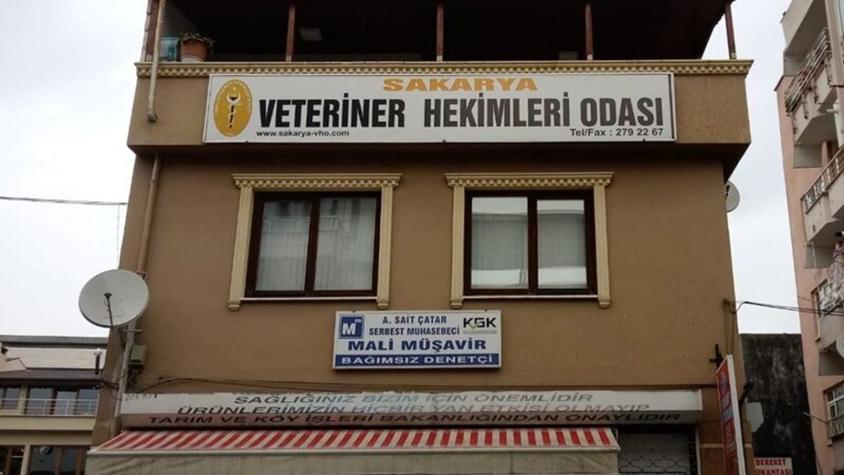 Veteriner hekimler kongreye gidiyor: Seçim 13 Eylül’de