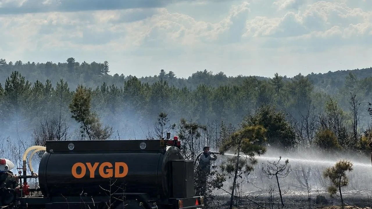 Sakarya OYGD gönüllüleri Bursa’daki yangına müdahale etti