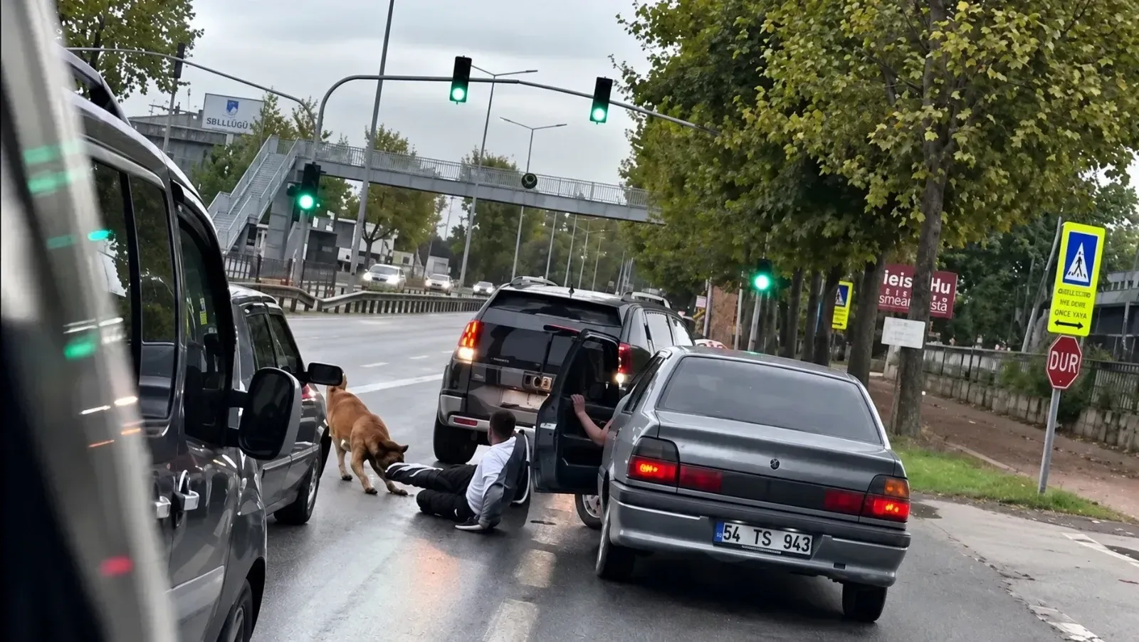 Sabah koşusunda köpek saldırısı