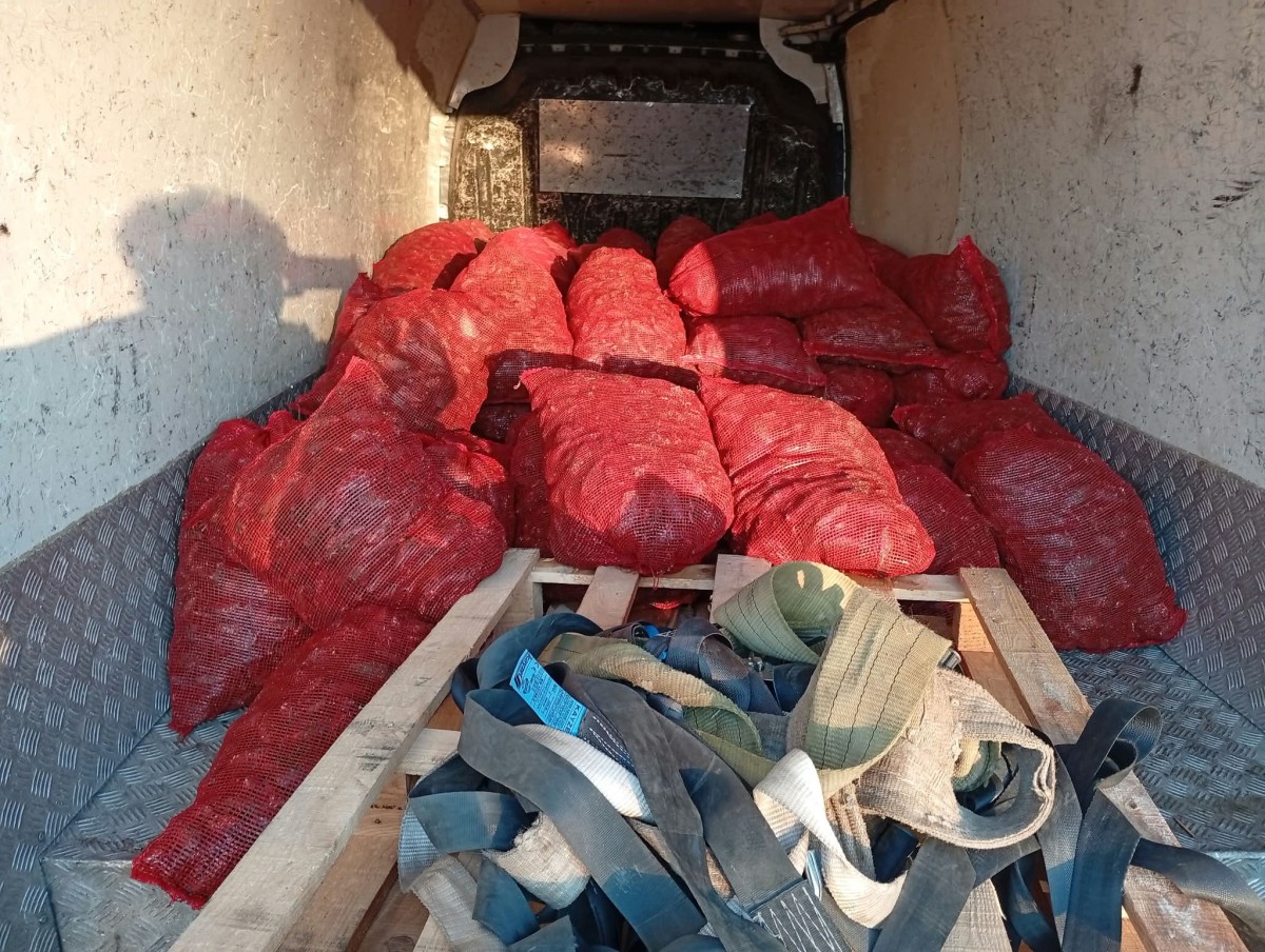 Durdurulan araçtan 2,2 ton kaçak kara midyesi çıktı
