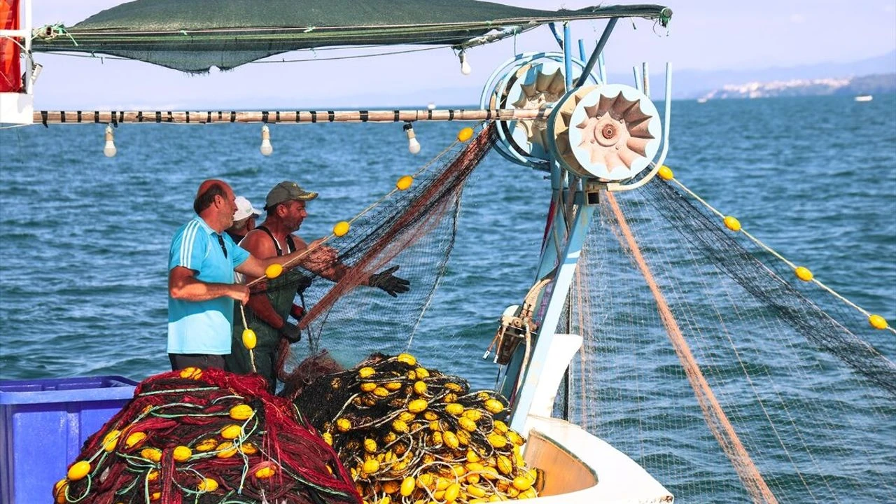 Palamut mesaisi başladı: Balıkçılar denize açılıyor, tezgahlar doluyor