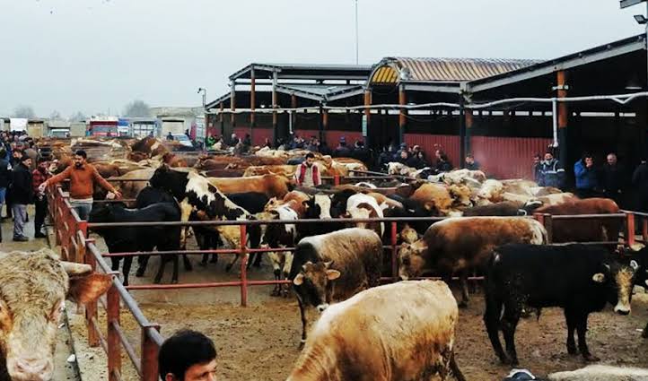Sakarya Hayvan Pazarı kapatıldı!