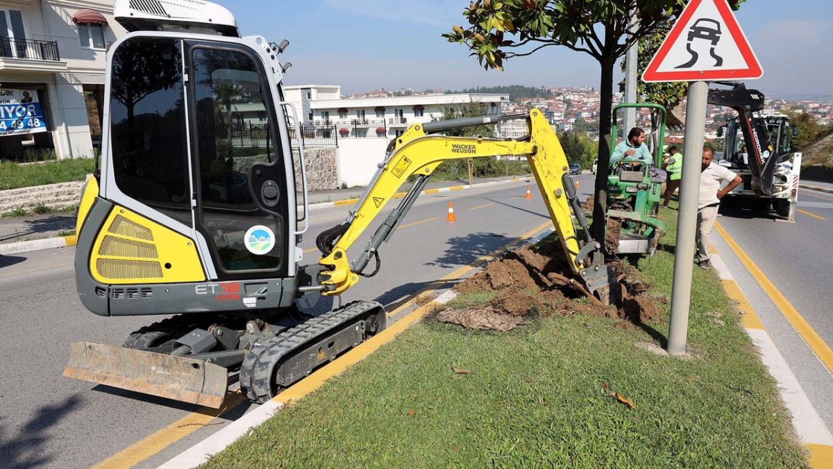 Raylı Sistem’de ilk kazma öncesi sahada hazırlık başladı: Ağaçlar taşınıyor