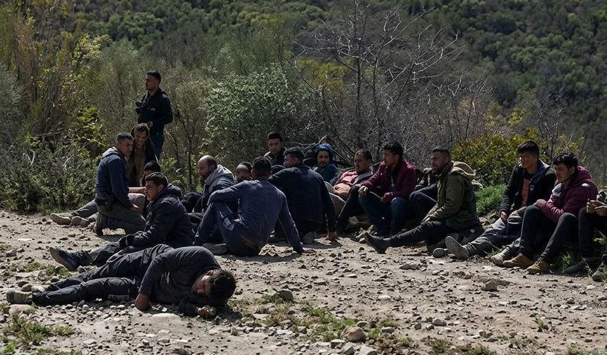 Sakarya’nın da aralarında bulunduğu 33 ilde göçmen kaçakçılığı operasyonu