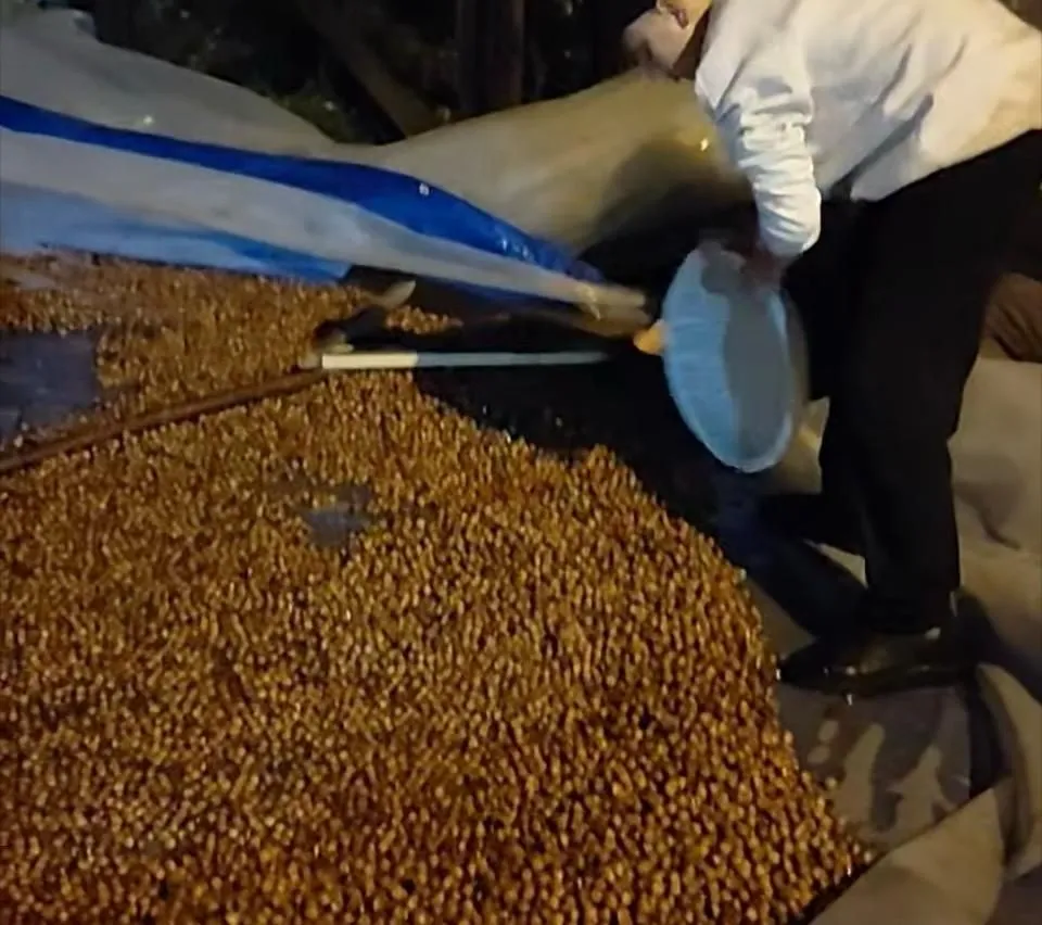 Akyazılı üretici isyan etti: “Bu çileyi biz çekiyoruz”