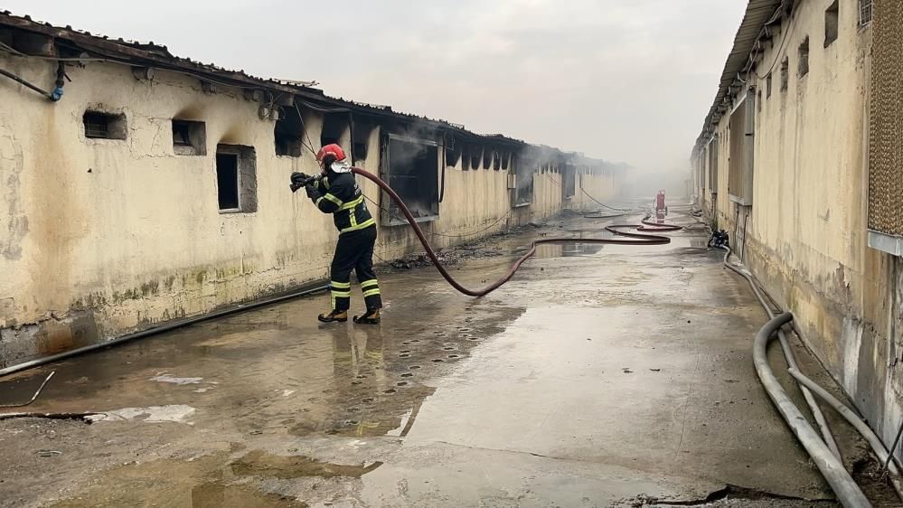 Pamukova’da tavuk çiftliği yandı
